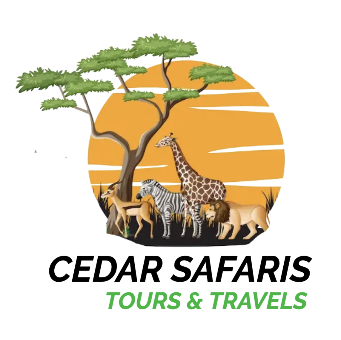 Cedar Safaris Logo